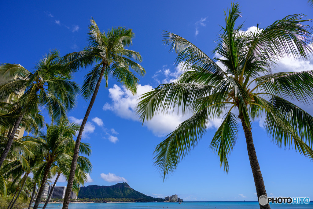 WAIKIKI BEACH!!