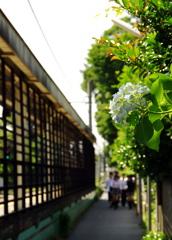 北鎌倉駅で