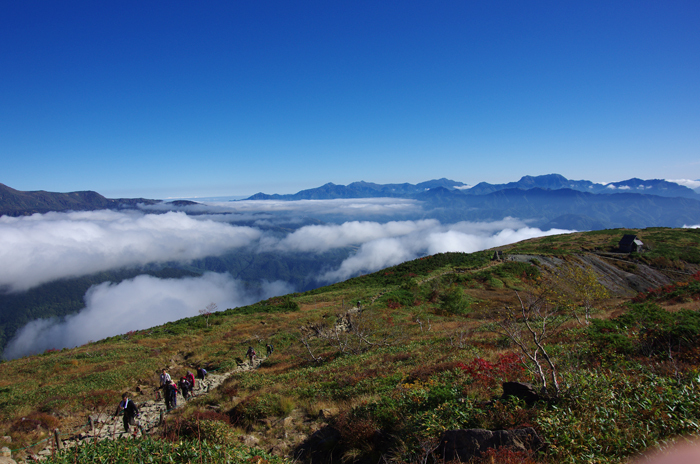 爽やかな登山道