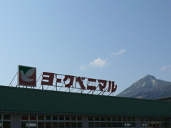 たからの山？