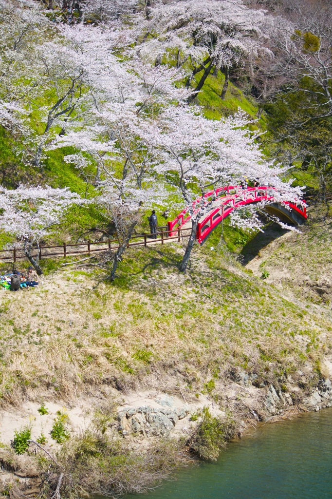 春の淵