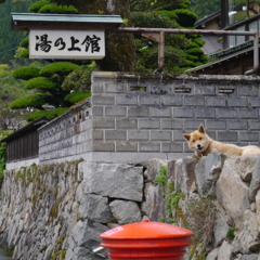 良い湯だったか？