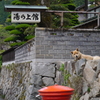 良い湯だったか？
