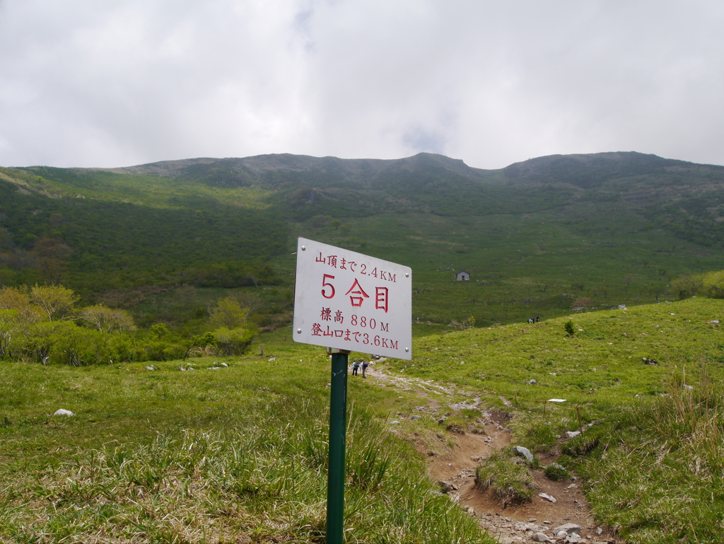 伊吹山5合目！