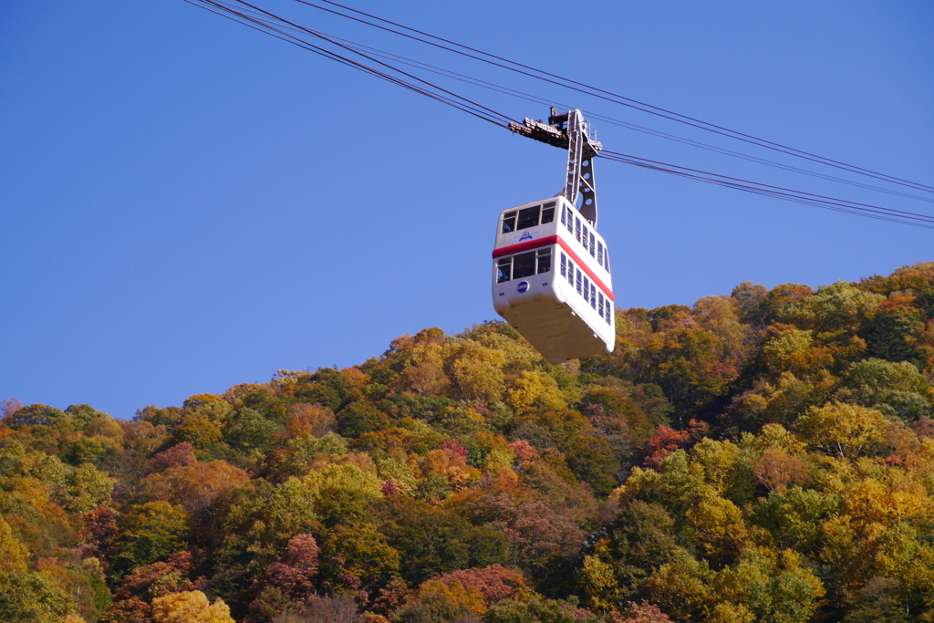 秋の山から