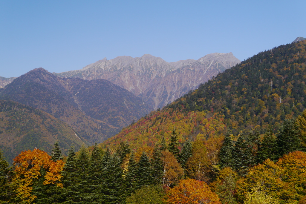 山も紅葉