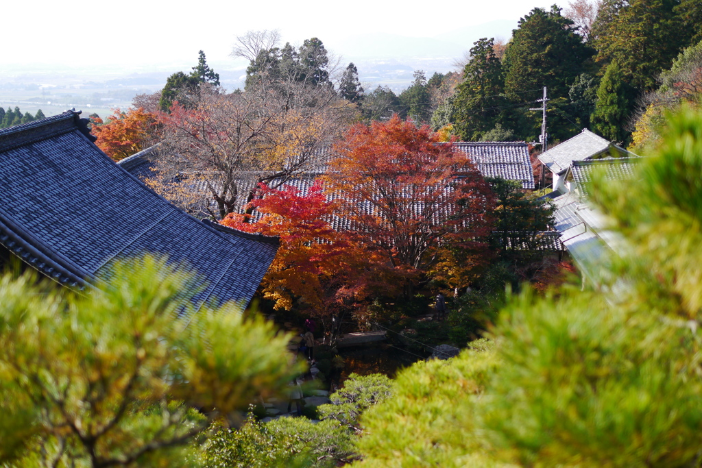 百済寺庭園本坊