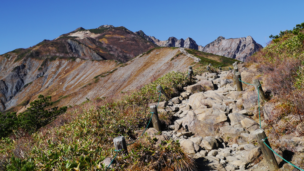 秋の八方池への登山道