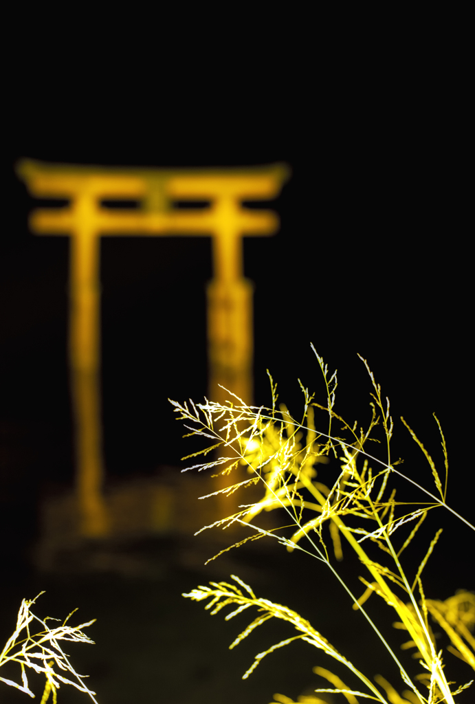 湖上の御門