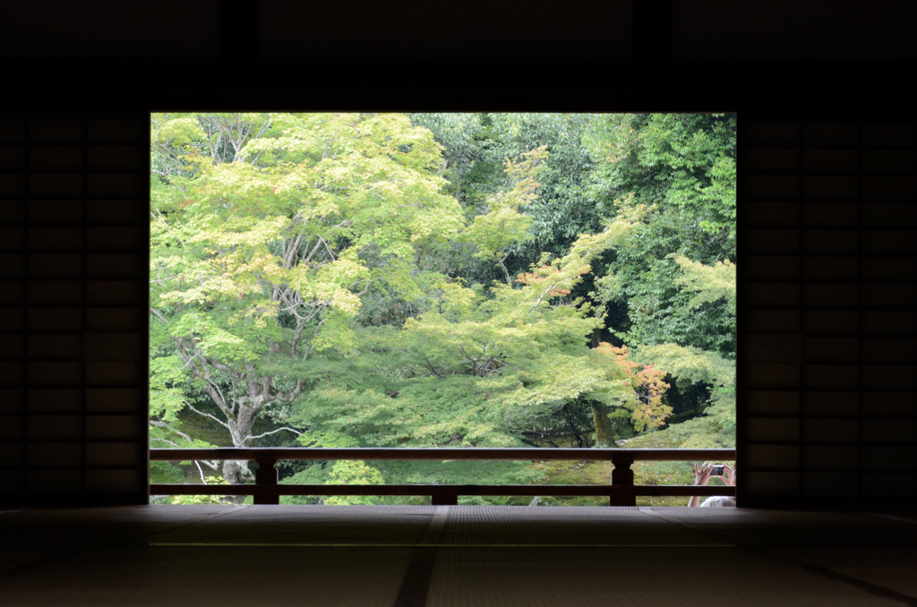 そうだ、京都へ行こう！