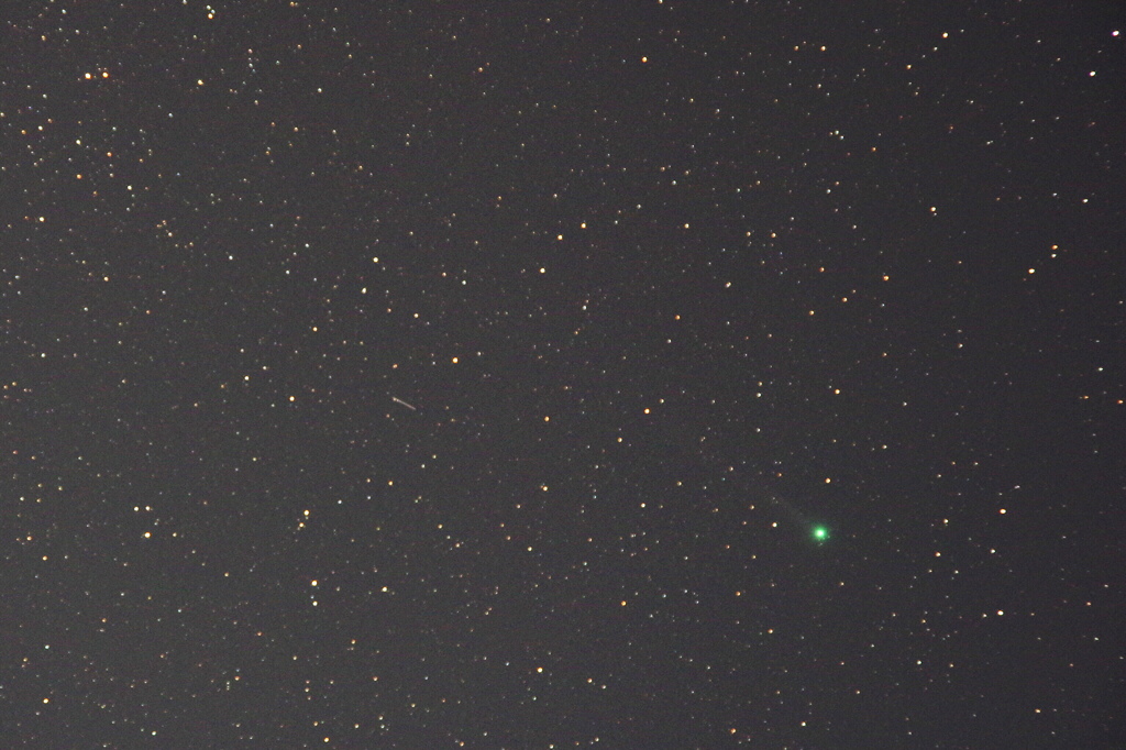 LOVEJOY