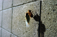 散歩の途中で・・・・