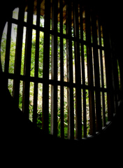 禅寺の朝・・・・