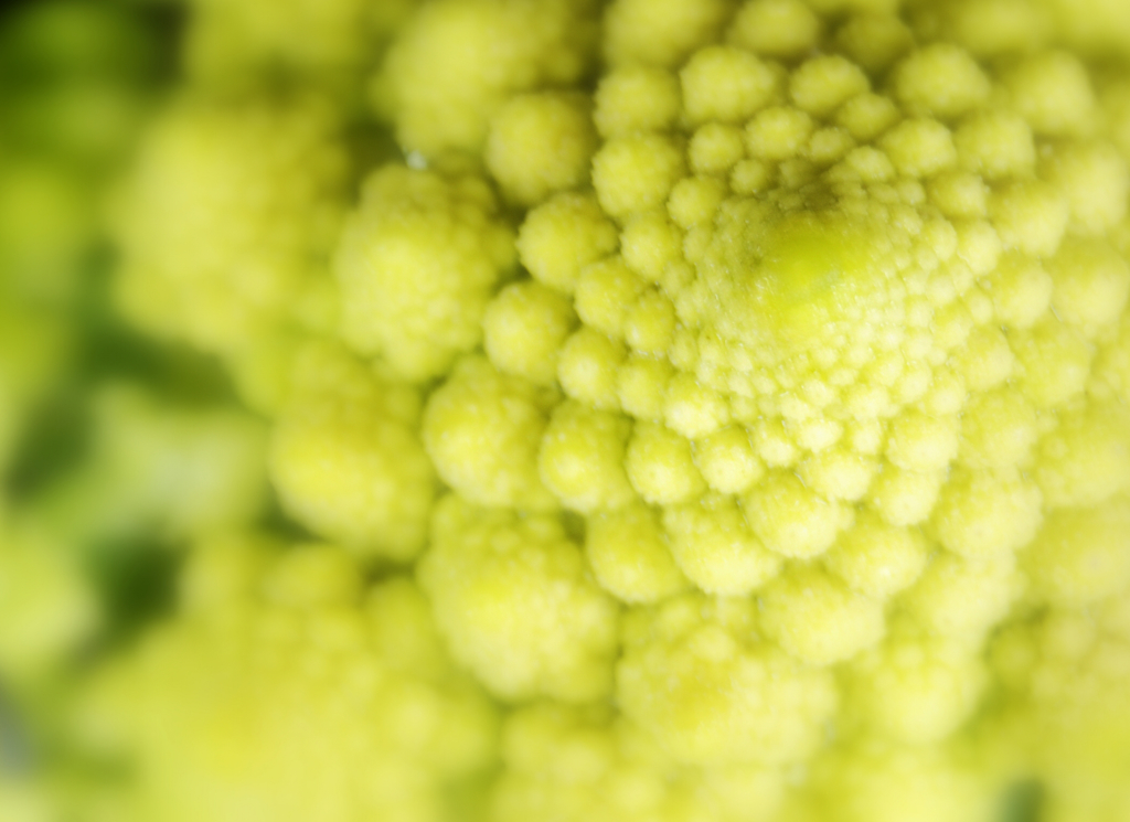 Broccolo Romanesco