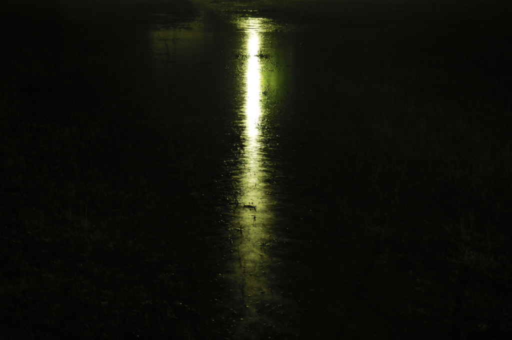 一筋の雨