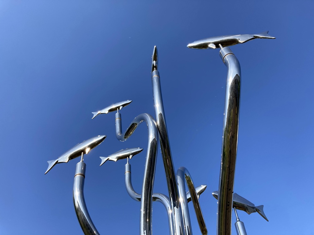 魚種が気になる