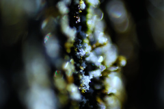 DSC_3448_00001