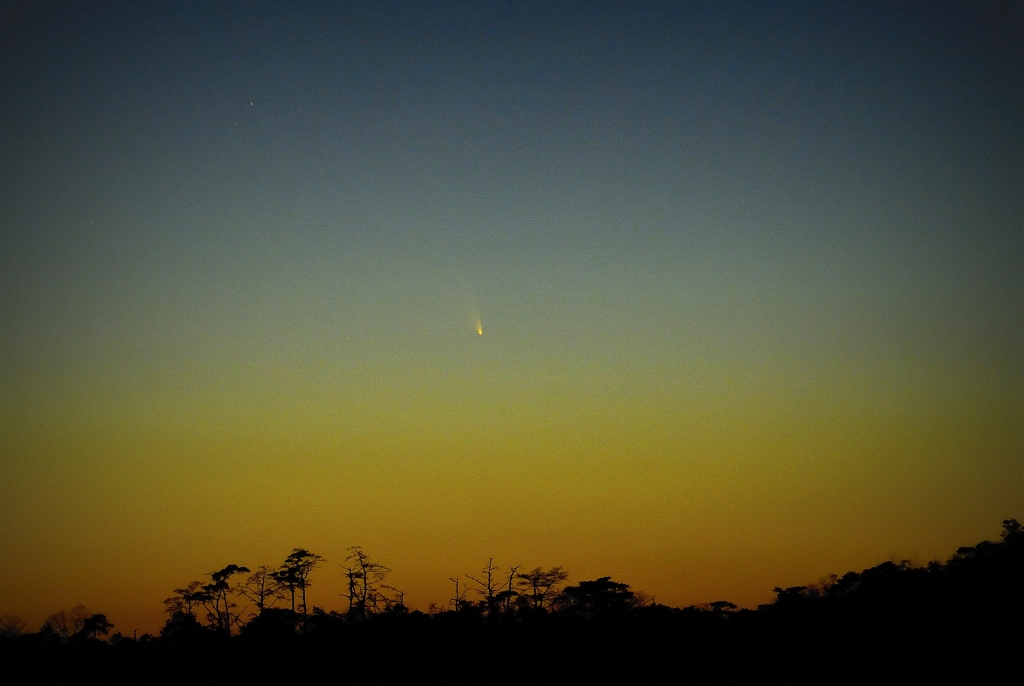 パンスターズ彗星を追いかけて・・・