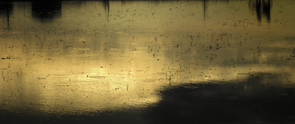 雨