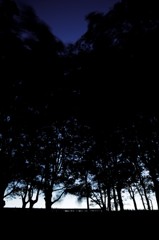 shadow picture