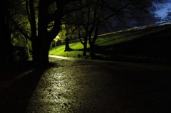 夜の小路