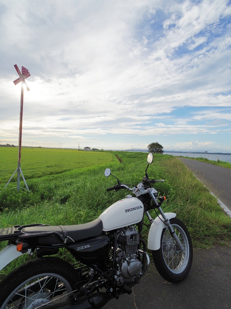 HONDA CB223S with summer clouds