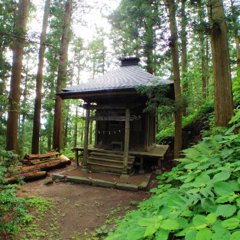 Medicine shrine (医薬神社)