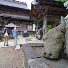 Temple with cow-lore 