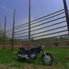Rice drying hanger & HONDA Phantom200