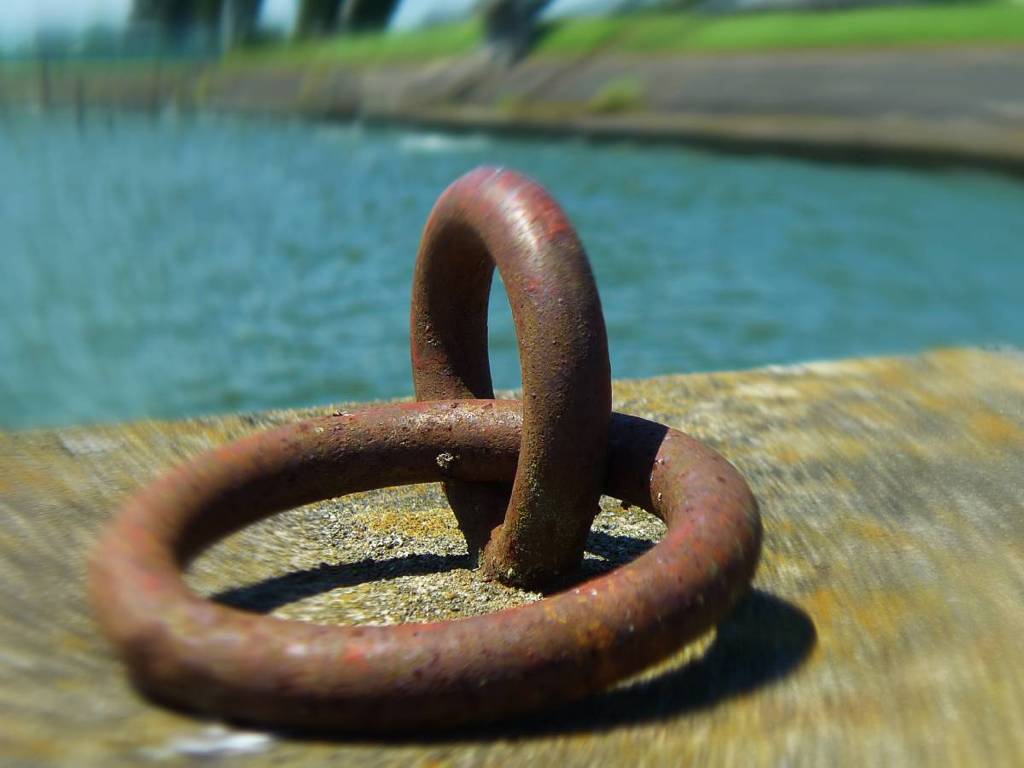 Rings for mooring