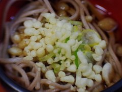 SOBA (Buckwheat noodle) with Tempura fla