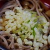 SOBA (Buckwheat noodle) with Tempura fla