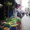 Green grocery