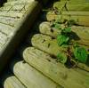Wood　wall