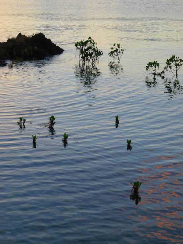 名蔵湾の海面