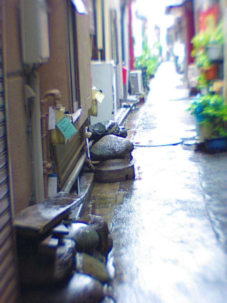小路端の石