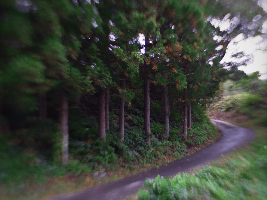 Enjoy strolling mountainous path