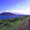 Driving in ISHIGAKI Island