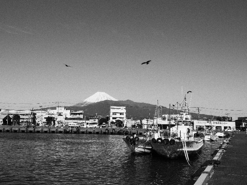 NUMAZU fishery port