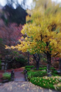Garden in Furumine-shrine