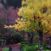 Garden in Furumine-shrine