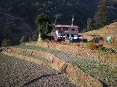 Terraced fields