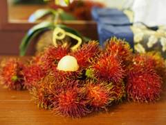 Rambutan fruit