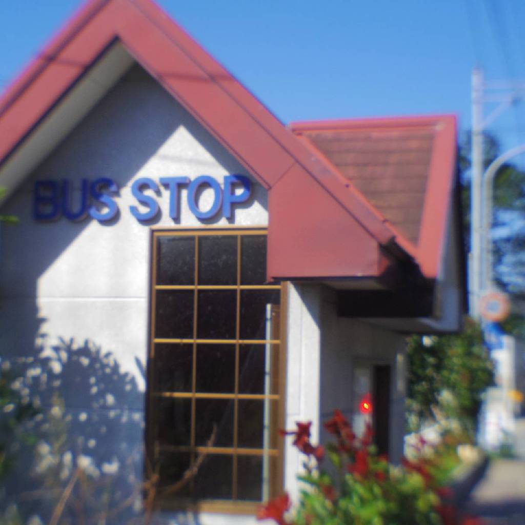 Bus stop in OJIKA peninsula