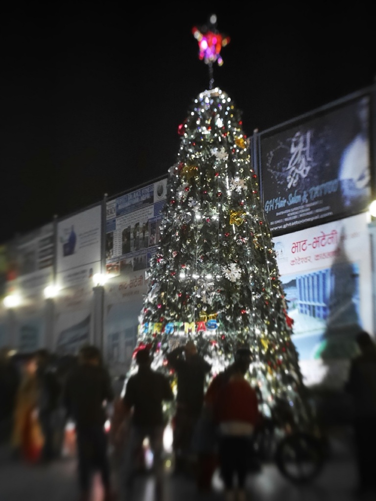 X'mas tree in Pokhara