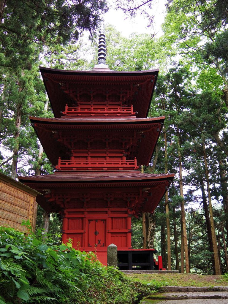 Pagoda in Cedar forest