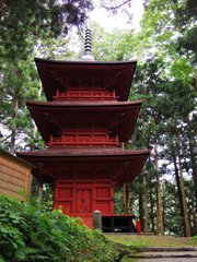 Pagoda in Cedar forest