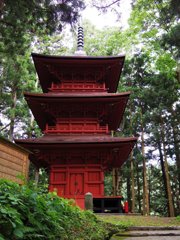 Pagoda in Cedar forest
