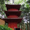 Pagoda in Cedar forest