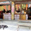 Grocery store